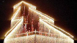 L&rsquo;albero sull&rsquo;acqua