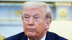 Il momento storico e la politica della tartaruga