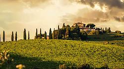 Cantina Todini: un terroir tra storia e innovazione