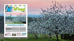 Dalla primavera in Slovenia alle Filippine, fino alla Londra del calcio: sfoglia l'inserto iViaggi di marzo