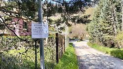 Nocera Umbra, esche avvelenate. Il sindaco Virginio Caparvi: "Pene esemplari per i responsabili"