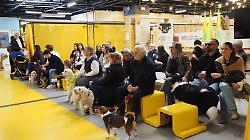 Pet's amore ha fatto centro: successo per la sfilata degli amici a 4 zampe al mercato coperto Campagna amica