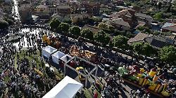 Edizione da record per la festa del tulipano tra carri cartoon e un milione di petali