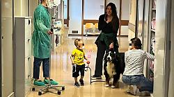 Animali come terapia e inclusione: il lavoro di Qua lo Zoccolo in Umbria