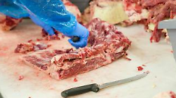 Macelleria rumorosa Anche la parrocchia fa esposto in Comune