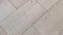 Sangue nel palazzo di via del Macello Indagano i carabinieri