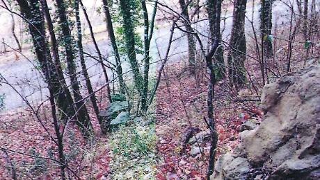 Strada di Lerchi, dalla Regione arrivano 400 mila euro di fondi per la messa in sicurezza