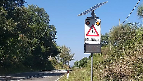 Arriva l'Avc, l'allarme "animali in strada": telecamera a infrarossi e dissuasore acustico