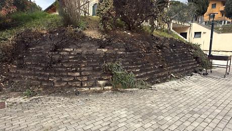 Area verde Palazzo Assisi 