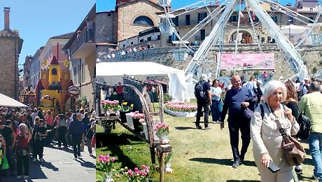 Festa del Tulipano, tre giornate per valorizzare il territorio con "Arena GAL"