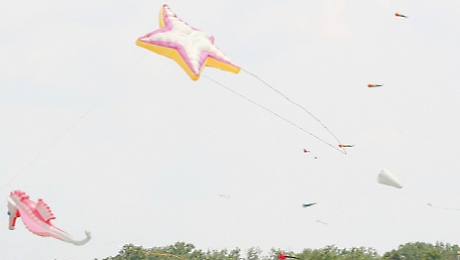 Gli aquiloni tornano a volare: da domani a domenica spettacoli, laboratori e iniziative per famiglie e scuole
