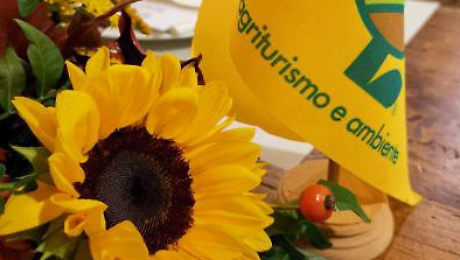 Imposta di soggiorno, scoppia la polemica: Coldiretti e Terranostra bacchettano l&rsquo;amministrazione per gli effetti degli aumenti sugli agriturismi