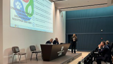 &ldquo;L&rsquo;antibiotico-resistenza? E&rsquo; una pandemia silente&rdquo;