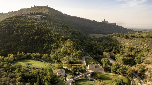 Alla scoperta del Bosco di San Francesco, tra animali selvatici e tesori vegetali dimenticati