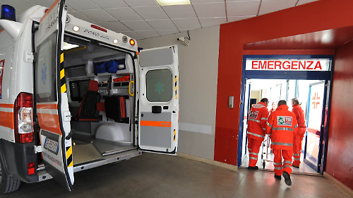 Torna in campo la proposta di creare un Istituto di ricovero e cura a carattere scientifico: al centro ematologia e approccio one health