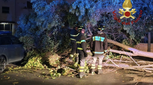 Maltempo a Terni, albero crolla in via Di Vittorio e danneggia un’auto parcheggiata