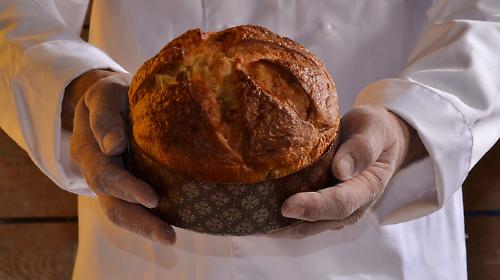 Panettoni in Umbria, la lista che non ti aspetti: ecco le 15 versioni più folli del 2025