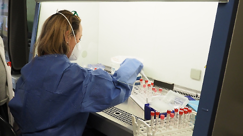 L'influenza stende 10mila umbri: incidenza raddoppiata in due settimane, aumentano i ricoveri