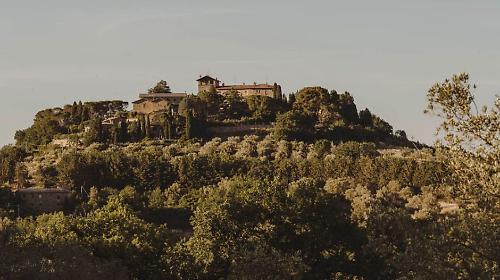 Castello Monte Vibiano, dove la cantina sussurra alla terra
