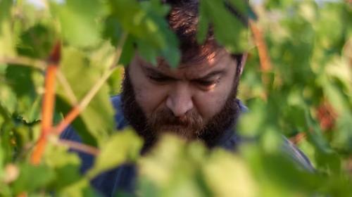 Dune Bianche: dalla Basilicata all&rsquo;Umbria