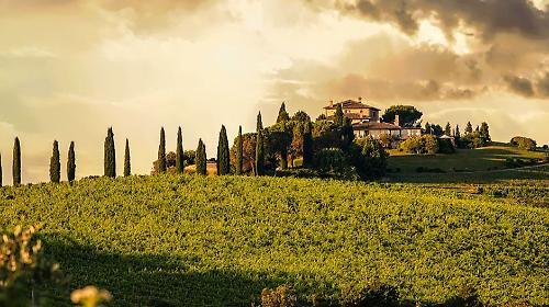 Cantina Todini: un terroir tra storia e innovazione