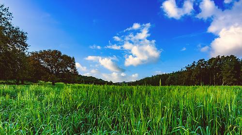 Addio freddo, l'Umbria abbraccia la primavera nel weekend di Pasqua: sole e temperature oltre i 20 gradi