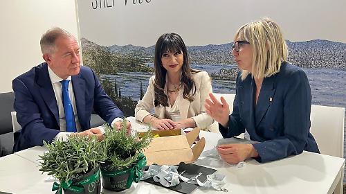 Terni, incontro a Vinitaly tra il ministro Urso e la presidente Proietti: focus su Ast e nodo energia