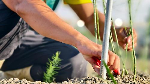 Anziano si perde mentre cerca gli asparagi : 86enne muore durante le manovre di soccorso