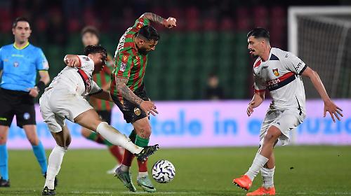 Ternana e Gubbio, ecco il regolamento playoff: 28 squadre in corsa per la B