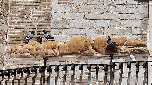 Il 'Pane Alfabeto' di Penone esposto per la mostra su San Francesco: sul balcone di Palazzo Baldeschi i piccioni svelano l'opera. FOTO