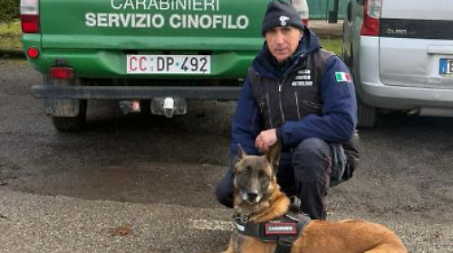 Altri tre gatti morti, ispezioni nei parchi con un'unit&agrave; cinofila dei carabinieri