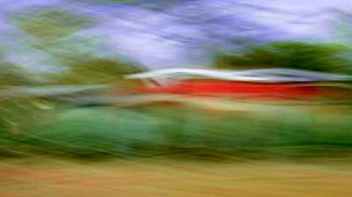 Lo spirito della natura all&rsquo;Allegretti Curator Lab