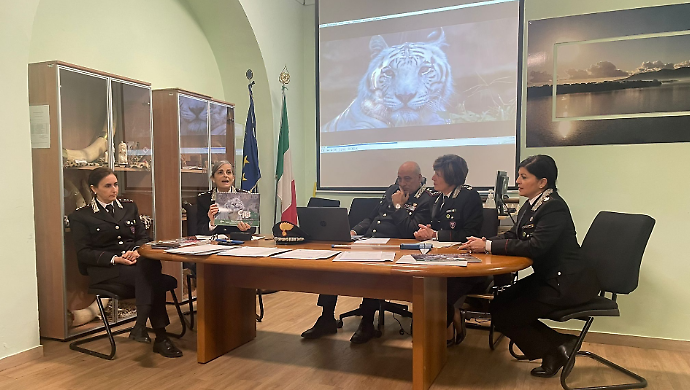 Oltre 35 mila controlli, 705 illeciti e lotta alle discariche abusive: i numeri del 2025 dei carabinieri forestali