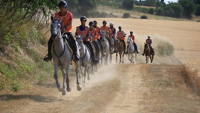 Laliscia sul sogno delle Olimpiadi diffuse: "L'endurance &egrave; gi&agrave; pronto. Candidatura italiana nel 2040? Castiglione del Lago &egrave; perfetta"
