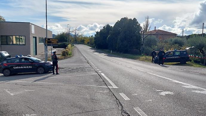 Otricoli, lite in un'abitazione: spuntano 2 piante di marijuana, 13 vasetti con i germogli e un manganello telescopico in metallo