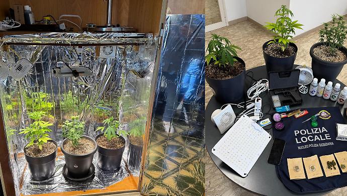 Girava in monopattino con hashish e marijuana: in casa aveva una serra nell'armadio e una pistola scacciacani. Denunciato 22enne