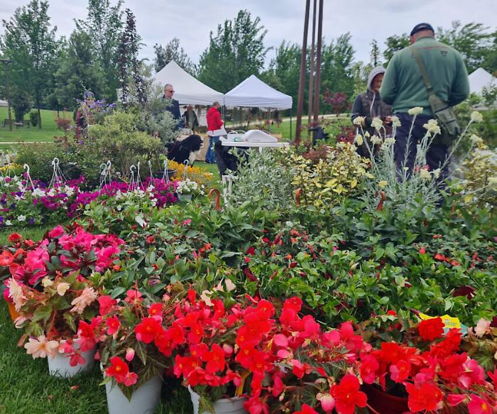 Flower Show, un'esplosione di colori e profumi. Piante introvabili e fiori rari all'edizione 2023