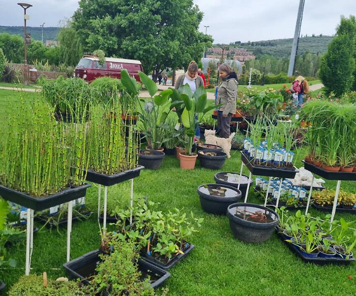 Flower Show, un'esplosione di colori e profumi. Piante introvabili e fiori rari all'edizione 2023