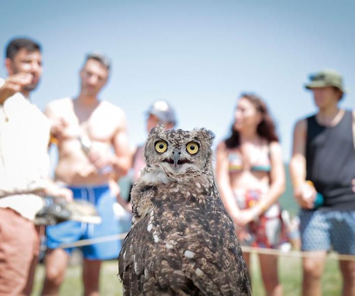 Montelago Celtic Festival, le foto dell'evento alle porte dell'Umbria tra kilt e concerti folk