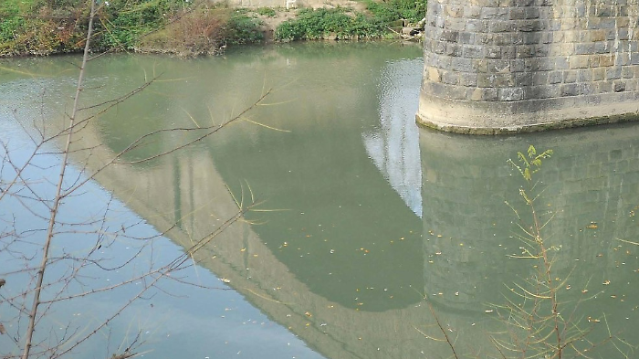 fiume tevere