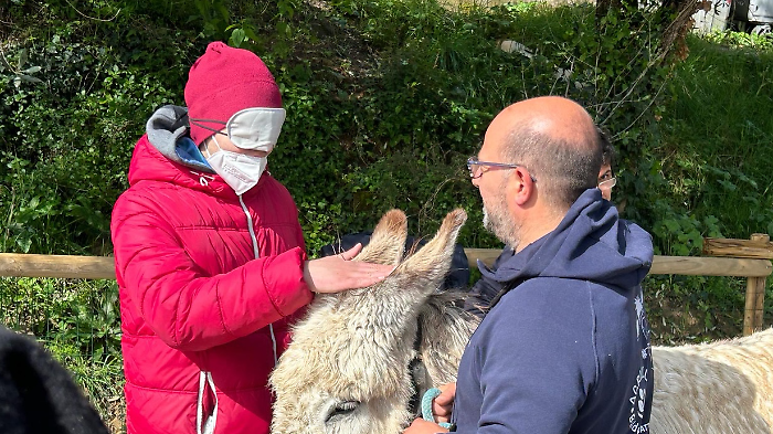 Perugia, nasce il primo centro regionale in pet therapy con cani gatti, conigli ed asini