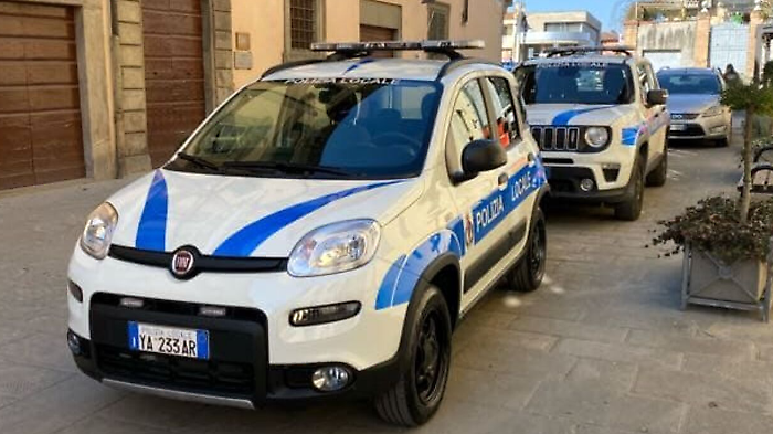 Città di Castello, investe un cane provocandone la morte: denunciato per uccisione di animali
