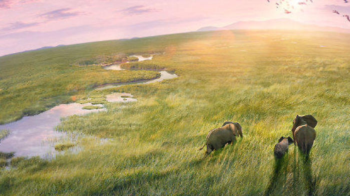 Planet Earth III 