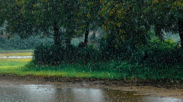 meteo