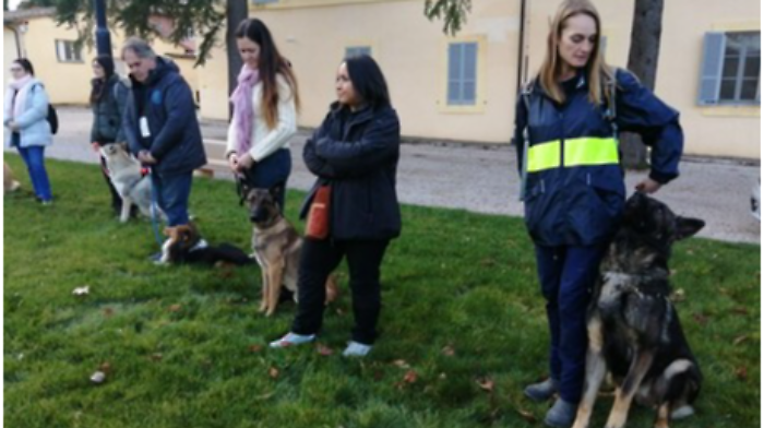 Umbria, bocconi avvelenati: nascono unità cinofile specializzate per proteggere animali e persone 