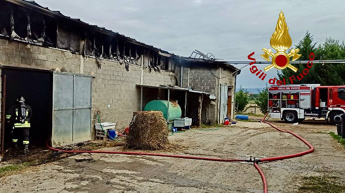 Castiglione del Lago, incendio in una stalla: i vigili del fuoco salvano gli animali dalle fiamme