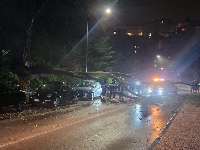 Il maltempo colpisce Perugia: rami caduti e alberi sradicati in mezzo alla strada. I danni causati della forti piogge