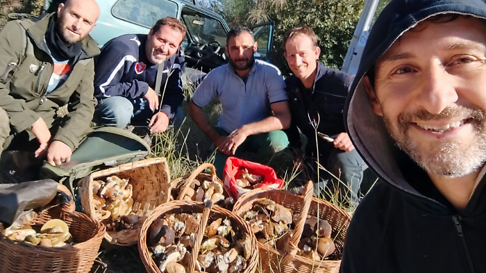 Oltre mille funghi porcini in un weekend. La raccolta da sogno di un gruppo di amici