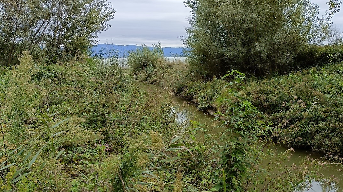 lago Trasimeno manutenzione