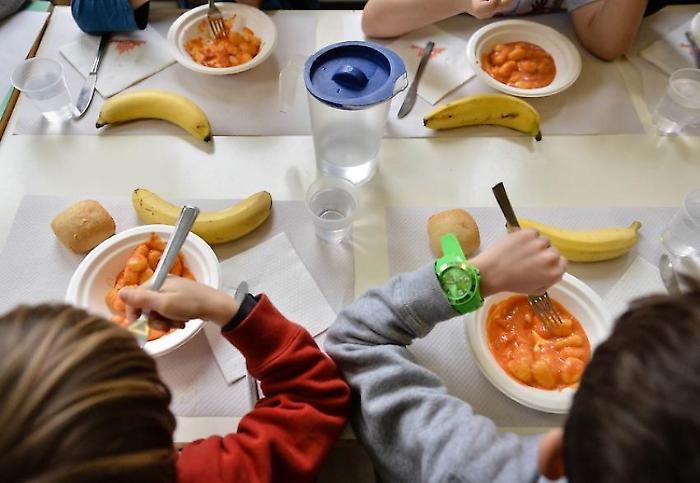 Salmonella, il servizio mensa della scuola verso il ripristino dopo la sanificazione. Il Comune: "Ad oggi i casi di intossicazione sono 33" 